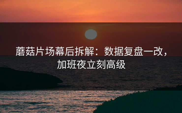 蘑菇片场幕后拆解：数据复盘一改，加班夜立刻高级